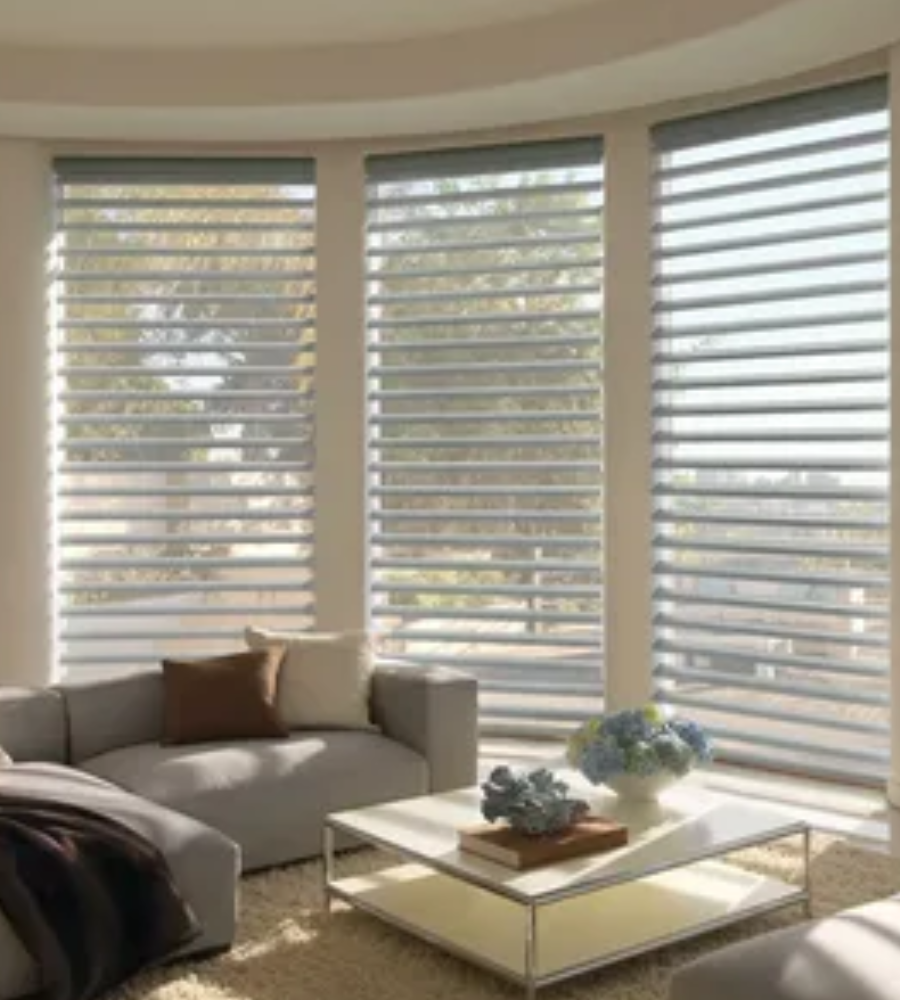 Aric Blinds - Image 4