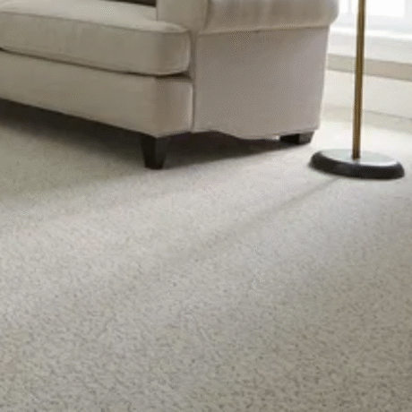 Wall to Wall Carpet